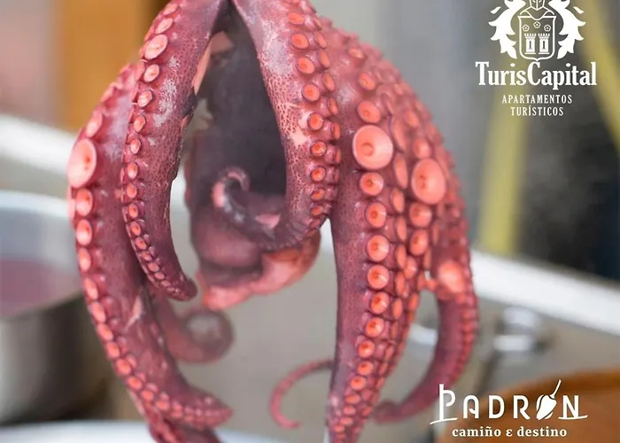 Turiscapital Plaza De Baltar Padrón